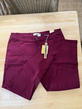 ✨ Brand new with tags! Hybrid & Company Burgundy Skinny Pants - Size 3X ✨